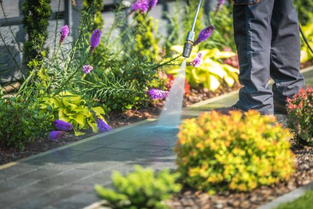 Best Sidewalk and Walkway Pressure Cleaning in Lake Holiday, VA