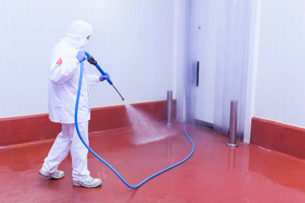 Trusted Lake Holiday, VA Pressure Washing Services Experts