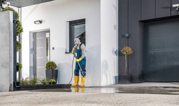 Best Vinyl Siding Pressure Washing in Lake Holiday, VA